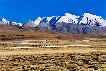 チベットの草原